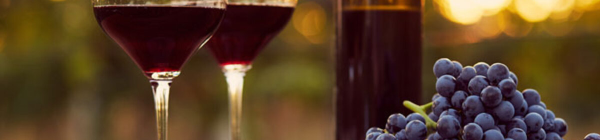 Banner about us wine2