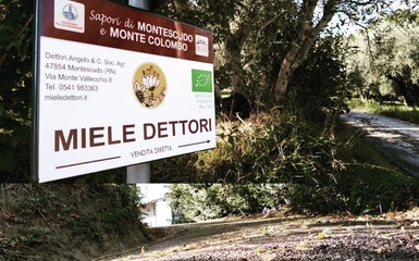 Fattoria Didattica “Dal fiore al miele” Fattoria Didattica “Dal fiore al miele”