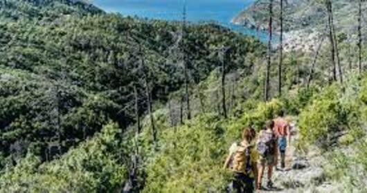 Partecipa con Montagnaterapia ad un escursione ad una escursione sui sentieri della Liguria Partecipa con Montagnaterapia ad un escursione ad una escursione sui sentieri della Liguria