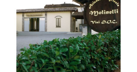 Cantina Molinelli -Offerta Vini DOC Colli Piacentini - Damigiane - Vendemmia 2021
