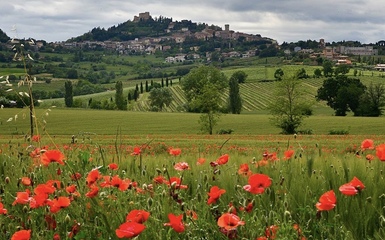 Bertinoro - Cantina Celli e Apericena alla Cà de Bè Bertinoro - Cantina Celli e Apericena alla Cà de Bè