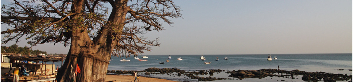 Banner senegal