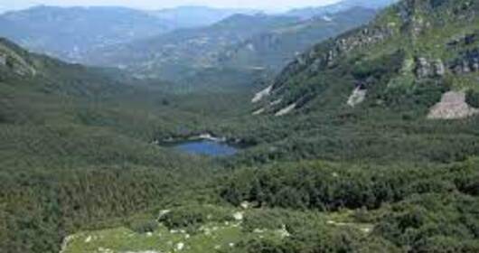 Partecipa con Montagnaterapia ad una escursione alla Riserva Naturalistica delle Guadine Partecipa con Montagnaterapia ad una escursione alla Riserva Naturalistica delle Guadine