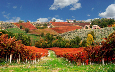 Umbria, il Foliage in Ebike Umbria, il Foliage in Ebike