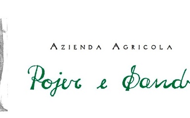 Visita e degustazione da Pojer e Sandri Visita e degustazione da Pojer e Sandri