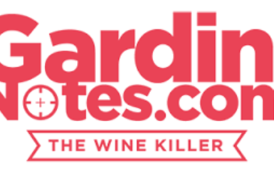 The Wine Killer: conosciamo e degustiamo il vino con Luca Gardini