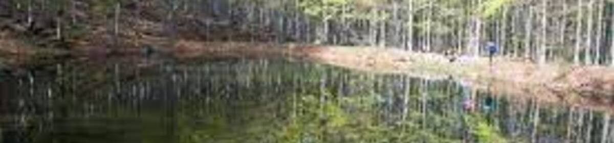 Banner lago martino