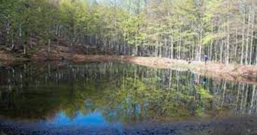 Partecipa con Montagnaterapia a una escursione sul Monte Molinatico Partecipa con Montagnaterapia a una escursione sul Monte Molinatico