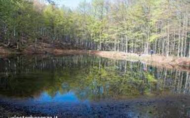 Partecipa con Montagnaterapia a una escursione sul Monte Molinatico Partecipa con Montagnaterapia a una escursione sul Monte Molinatico