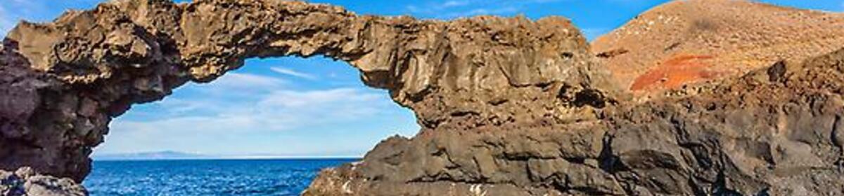 Banner 98a531008257bb57ce4a010627c1a18b 550