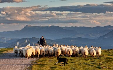 Il Molise in bici, lungo il viaggio dei pastori Il Molise in bici, lungo il viaggio dei pastori