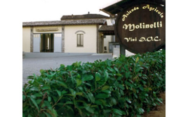 Cantina Molinelli -Offerta Vini DOC Colli Piacentini - Damigiane - Vendemmia 2022 Cantina Molinelli -Offerta Vini DOC Colli Piacentini - Damigiane - Vendemmia 2022