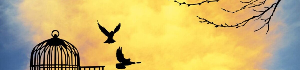 Banner il mestiere della vita immagine x pubblicazione