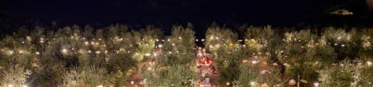 Banner picnic