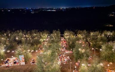 Picnic al chiaro di luna Picnic al chiaro di luna