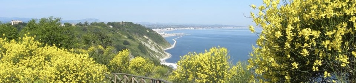 Banner img 6269