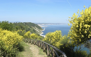 Monte San Bartolo: trekking tra le ginestre Monte San Bartolo: trekking tra le ginestre