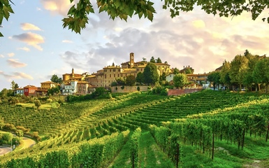Le Langhe, un paesaggio Patrimonio Unesco Le Langhe, un paesaggio Patrimonio Unesco