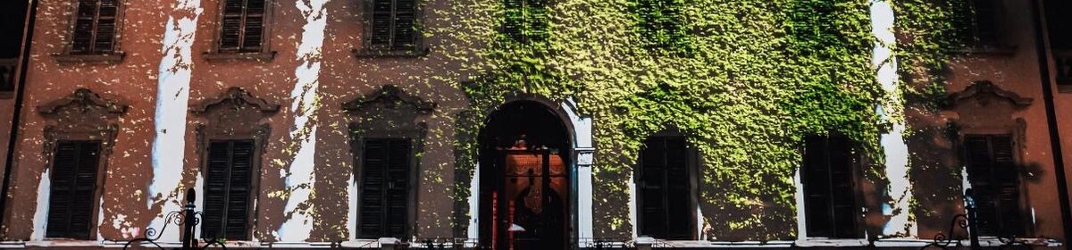 Banner foto 1