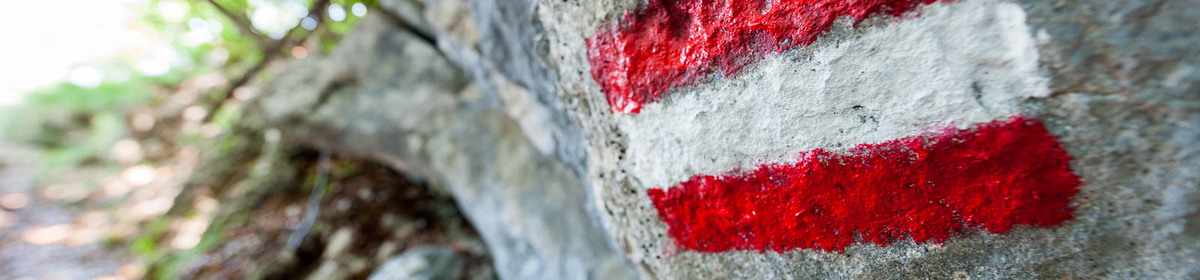 Banner segnaletica cai