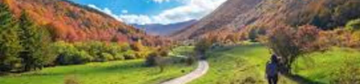 Banner pna