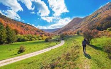 Ragazzi sulle tracce dell'orso marsicano Ragazzi sulle tracce dell'orso marsicano