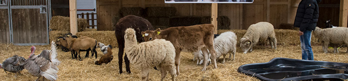 Banner il giardino di filly web