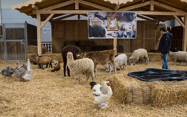 MONTAGNATERAPIA PARMA - 25 GIUGNO 2025 MONTAGNATERAPIA PARMA - 25 GIUGNO 2025