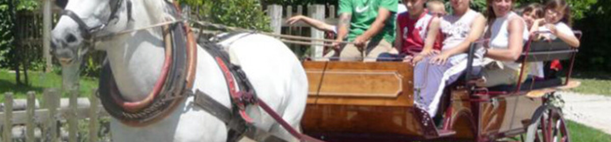 Banner magredi