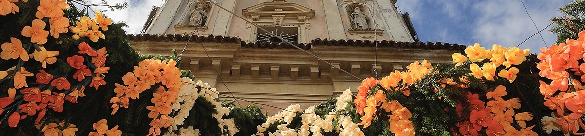 Banner img 6410