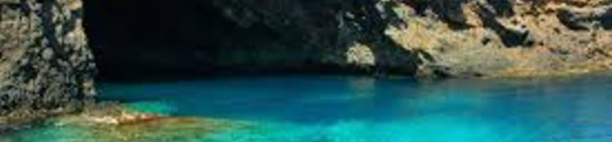 Banner ustica