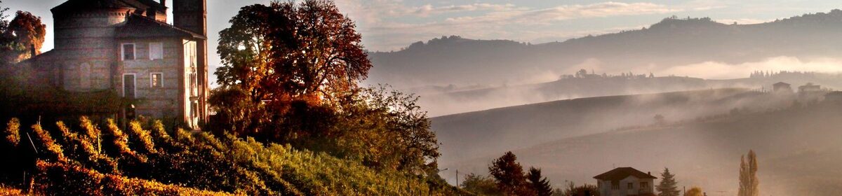 Banner diano 2 1600x800
