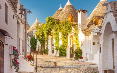 PUGLIA e MATERA PUGLIA e MATERA