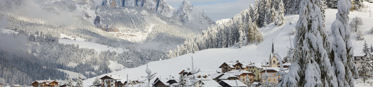 Banner campitello