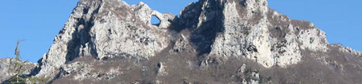 Banner forato01