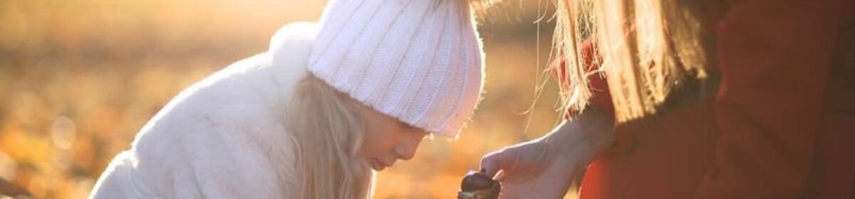 Banner castagnata