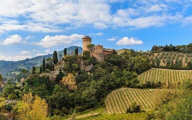 L'oro verde di Romagna a Brisighella L'oro verde di Romagna a Brisighella