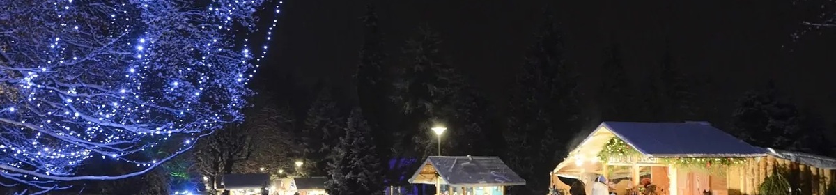 Banner mercatini levico