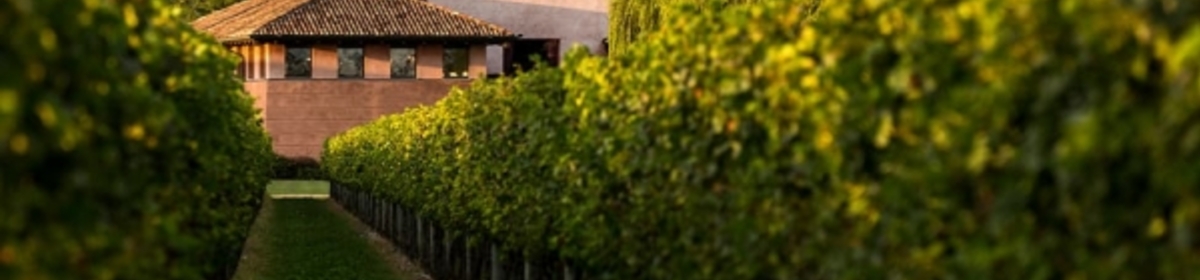 Banner pitars il castello 1 600x382