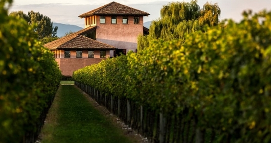 Alla scoperta dei sapori autentici: visita e pranzo in cantina Alla scoperta dei sapori autentici: visita e pranzo in cantina