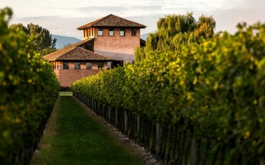 Alla scoperta dei sapori autentici: visita e pranzo in cantina