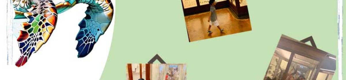 Banner specola vetrina