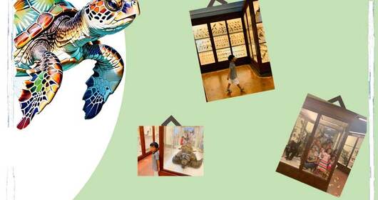 Gioco-tour Museo della Specola Gioco-tour Museo della Specola