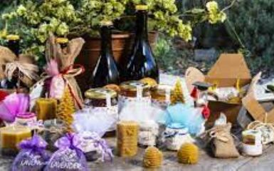 FACE ODV - PARMA CATALOGO NATALIZIO   2025