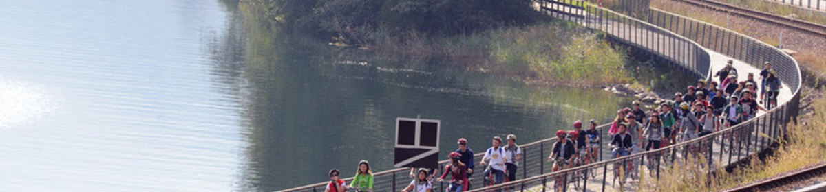 Banner image 1