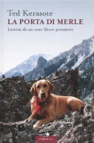 Book content